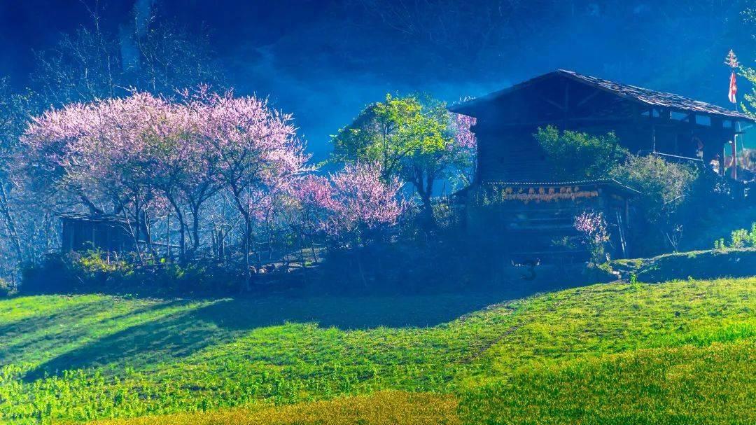左右消消看
